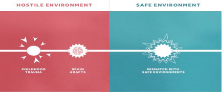 An infographic, demonstrating how childhood trauma  in a hostile environment makes the brain adapt, so that when a person is finally in a safe environment, their brain is mismatched with the environment that they're in