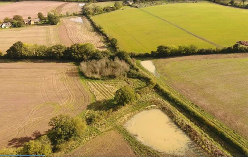 Fields with water pooling in the corners