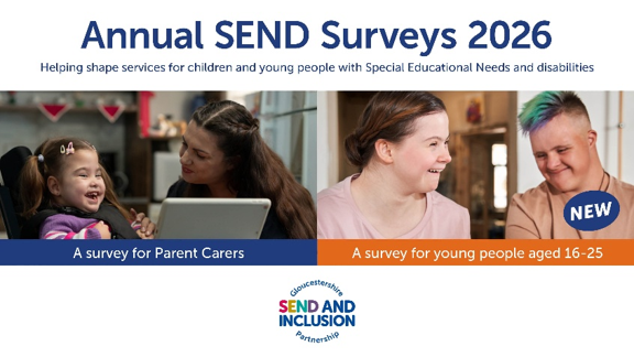 Annual SEND Surveys 2026