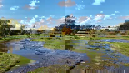 Fields with water ponding