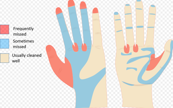 A close-up of a hand

Description automatically generated